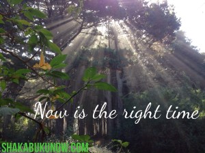 What will you do today to move toward the life you were meant to live?