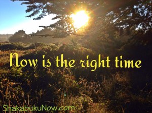 What will you do today to move toward the life you were meant to live?